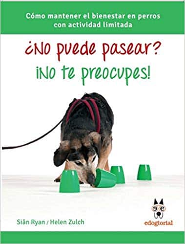 ¿Tu perro no puede pasear? ¡No te preocupes!