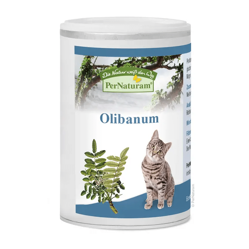 Antiinflamatorio con boswellia para gatos