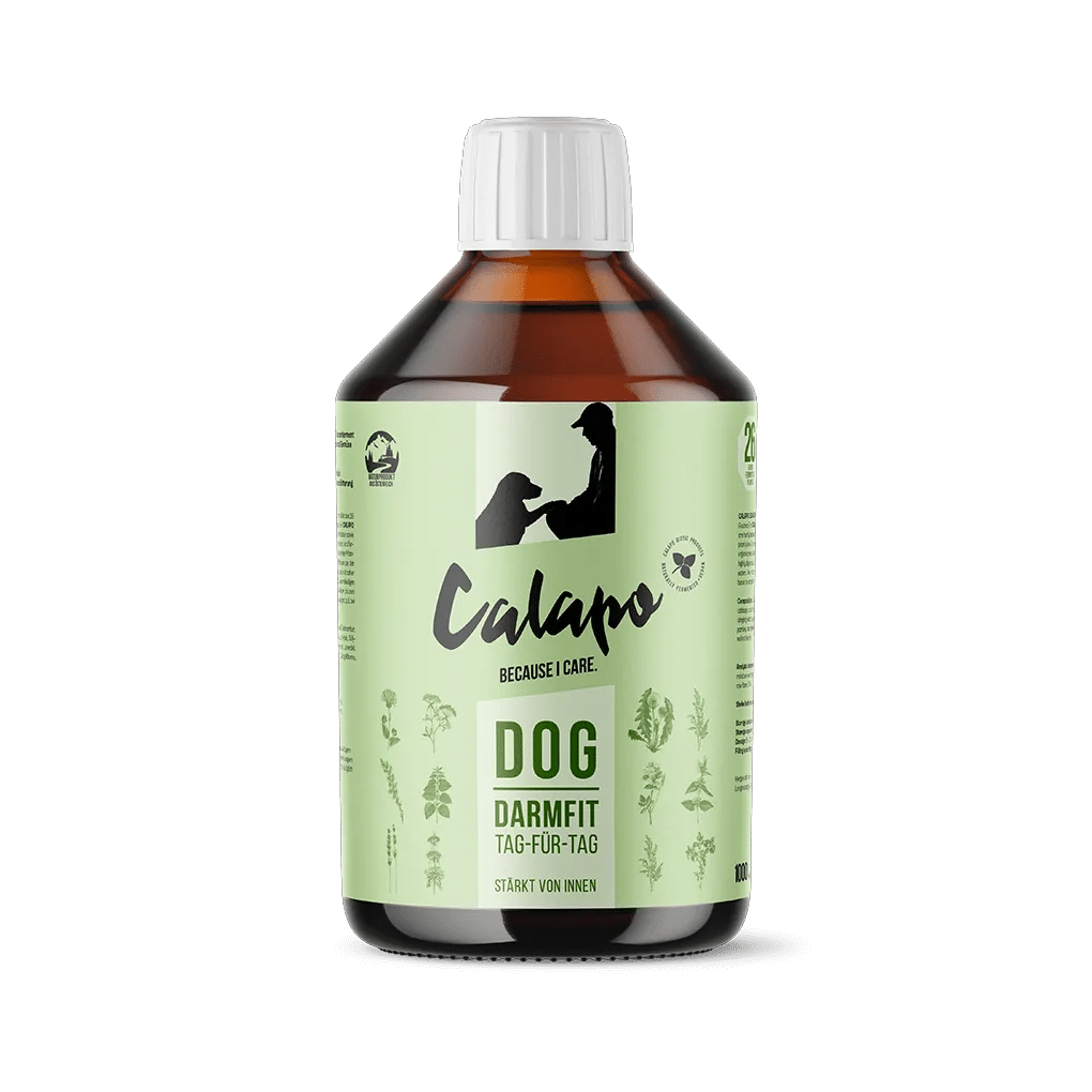 Fermento para problemas intestinales en perros