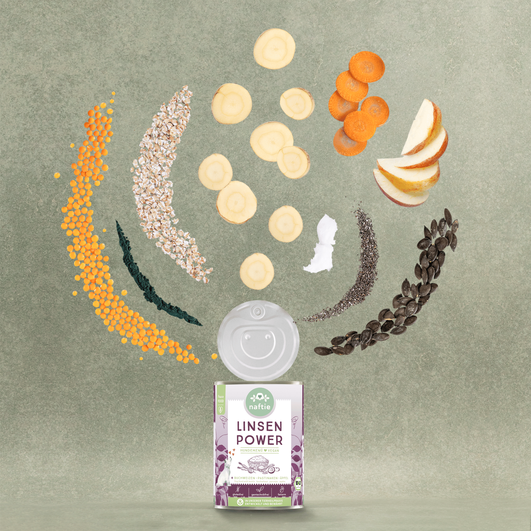 Comida de lentejas BIO para perros 400g - Imagen 2