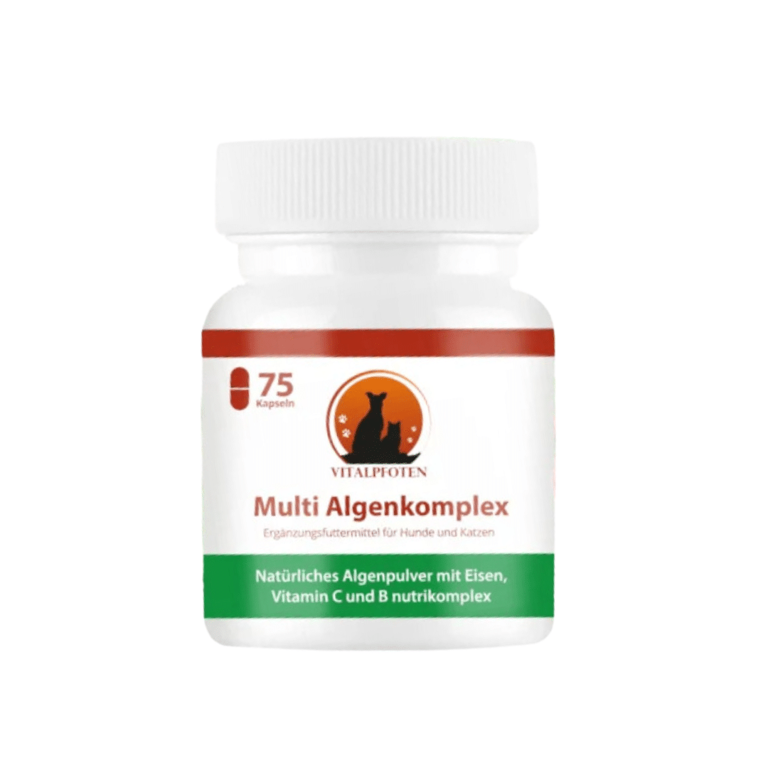 Complejo B con algas para perros y gatos
