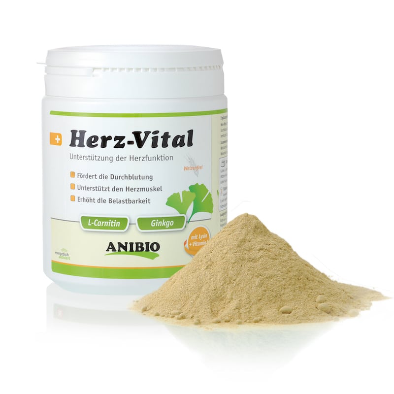 Corazón Vital de Anibio