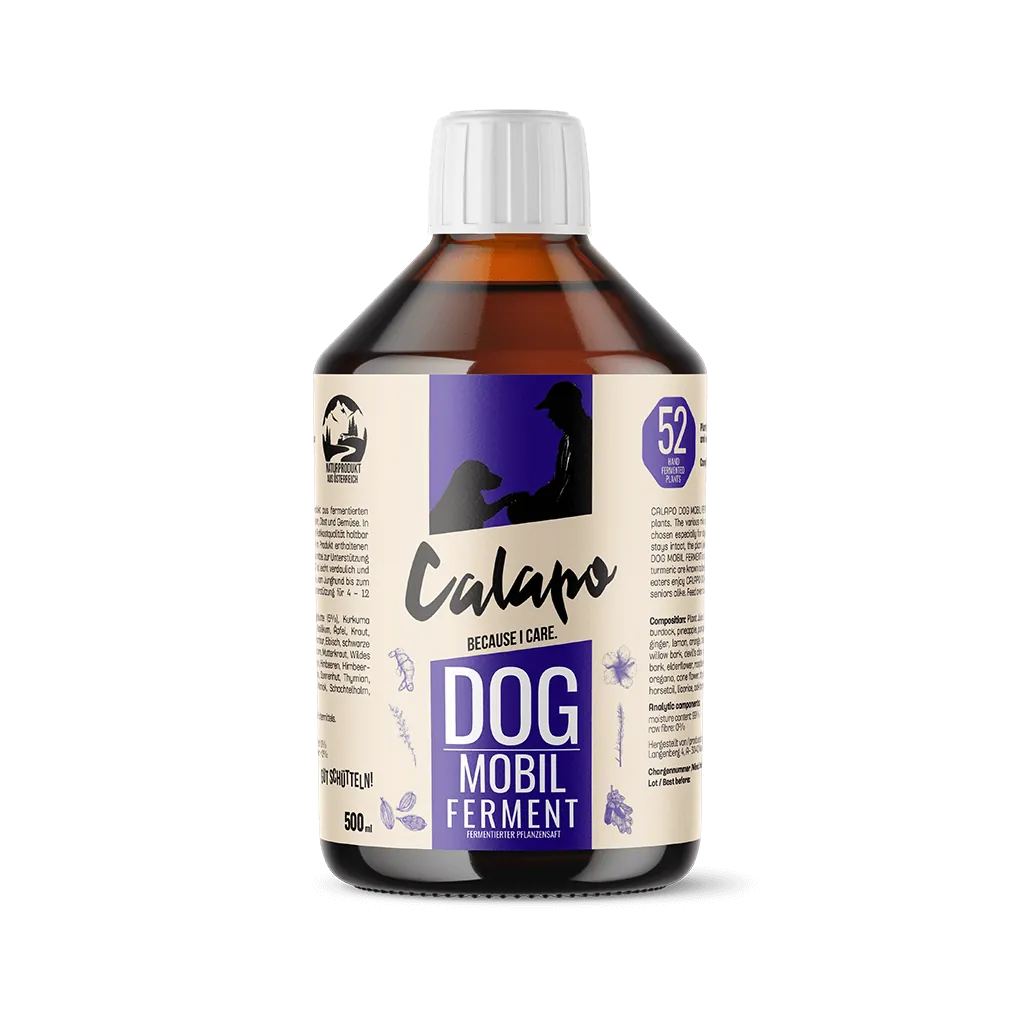 Fermento para articulaciones de perros