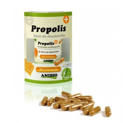 Propolis de Anibio