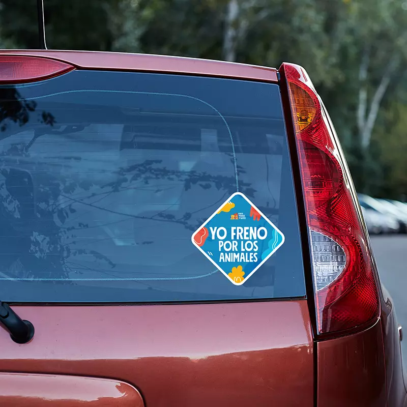Stickers para auto - Imagen 6
