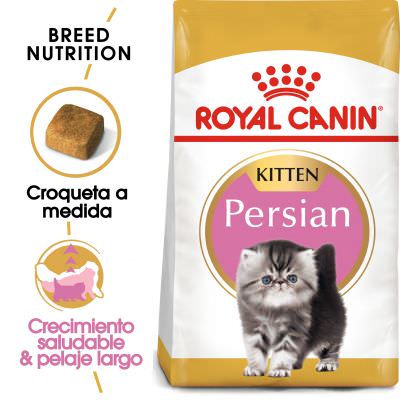 Royal Canin Feline Kitten Persian 2kg, 4kg y 10kg