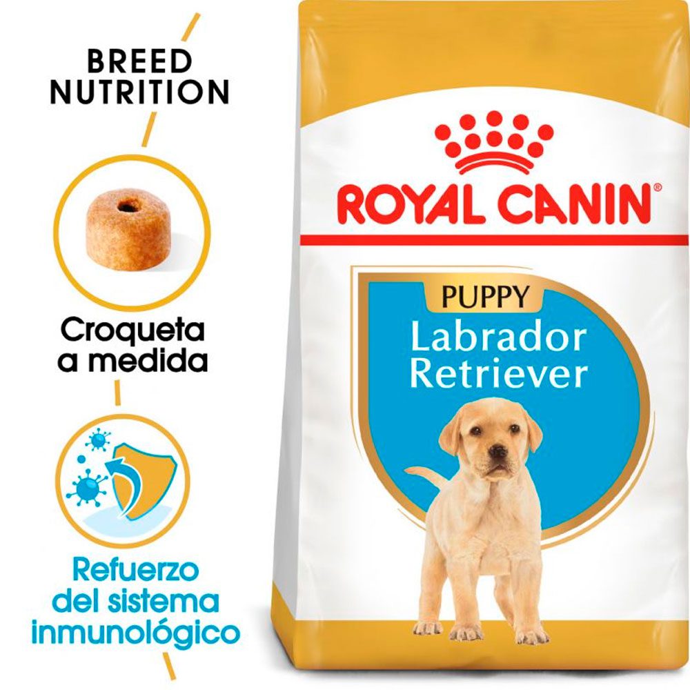 Royal Canin Labrador Retriever Puppy