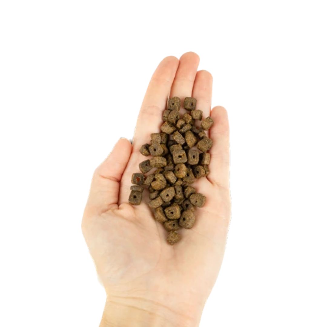 LENDA ADULT MINI MEAT & FISH - Imagen 2