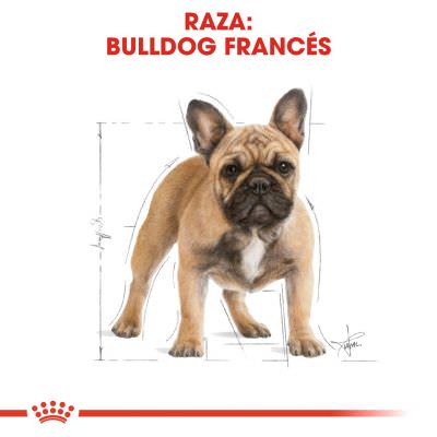 Royal Canin Bulldog Frances Adult 3kg, 9kg y Pack 2x9kg - Imagen 5