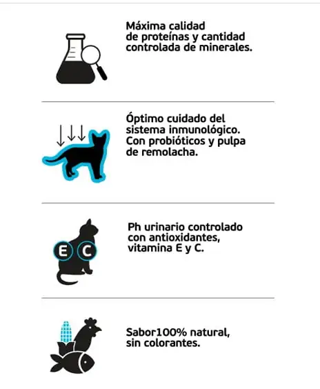 Maxine Gato 7,5 kg - Imagen 2