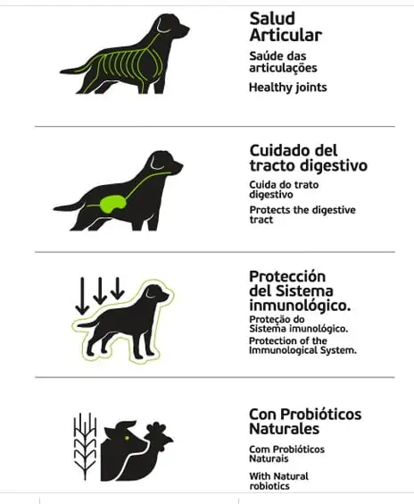 Maxine Senior 21 kg - Imagen 2