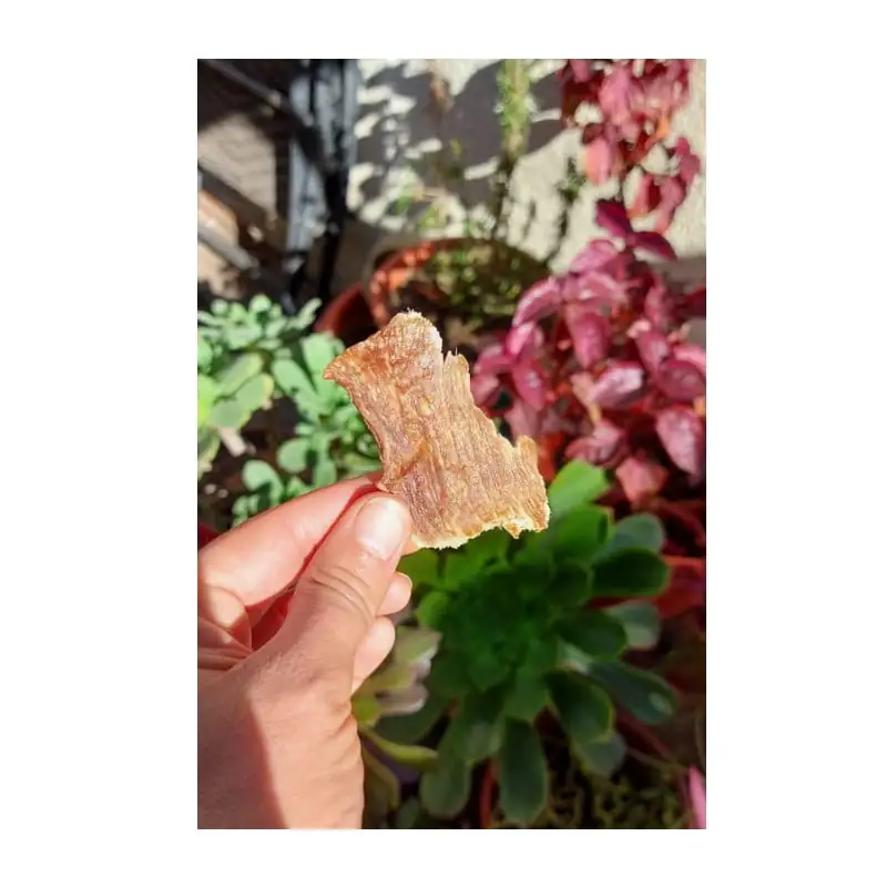 Snack Patagon Raw Lomo Cerdo - Imagen 2