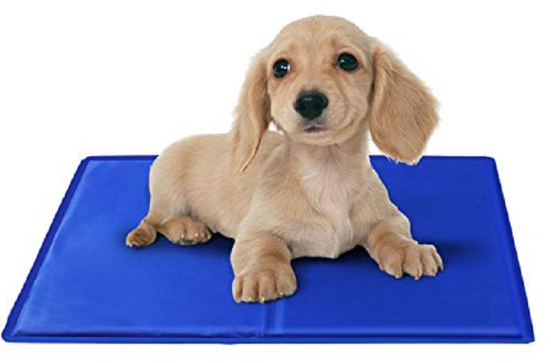 Manta Refrescante para Perros, Alfombra Refrescante - Imagen 8