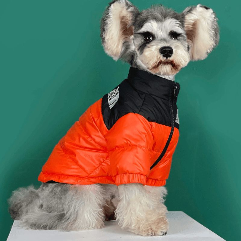 Parka para Perros Dog Face Naranja - Imagen 2
