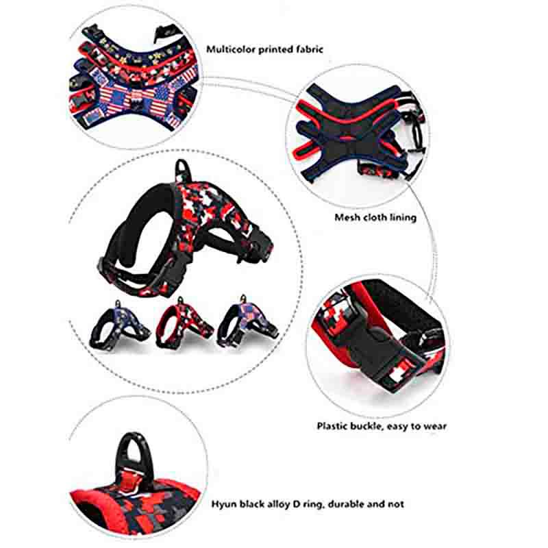 Arne Perros Y acolchado USA - Imagen 5