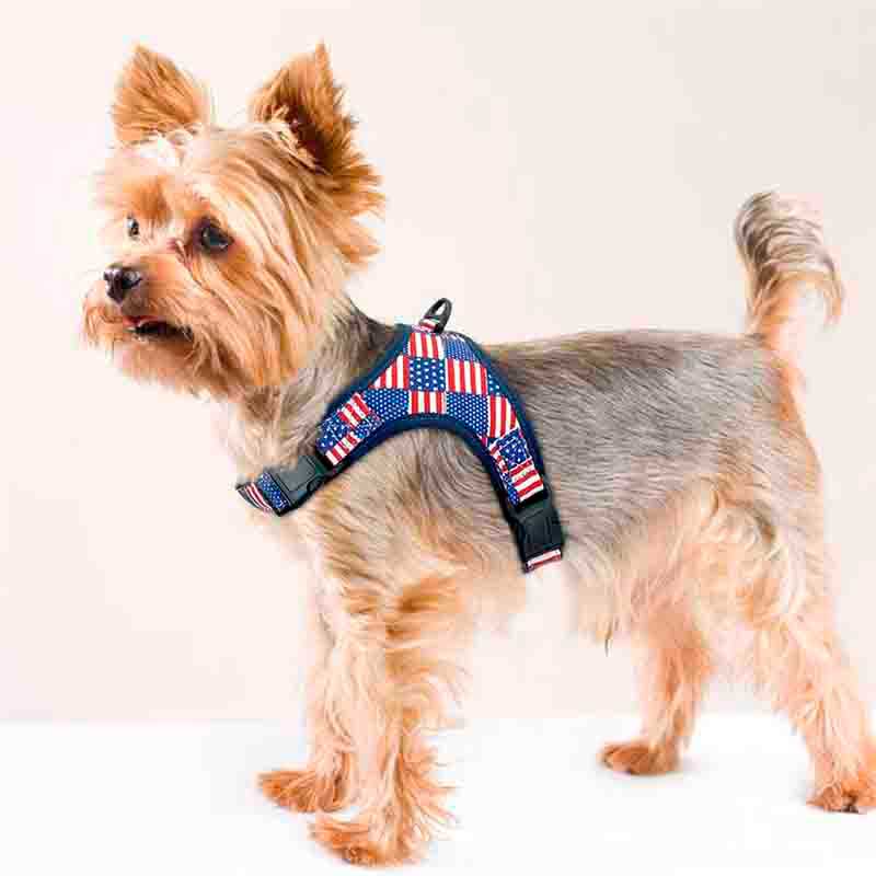 Arne Perros Y acolchado USA - Imagen 2