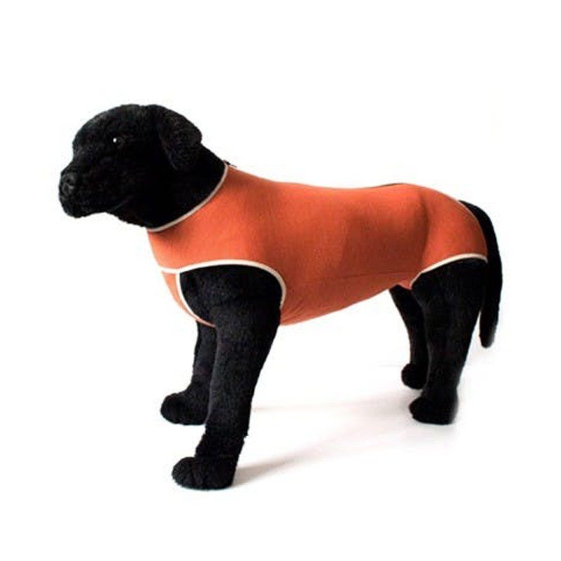 Body de Cobre Tradicional (Hembras) - Imagen 3