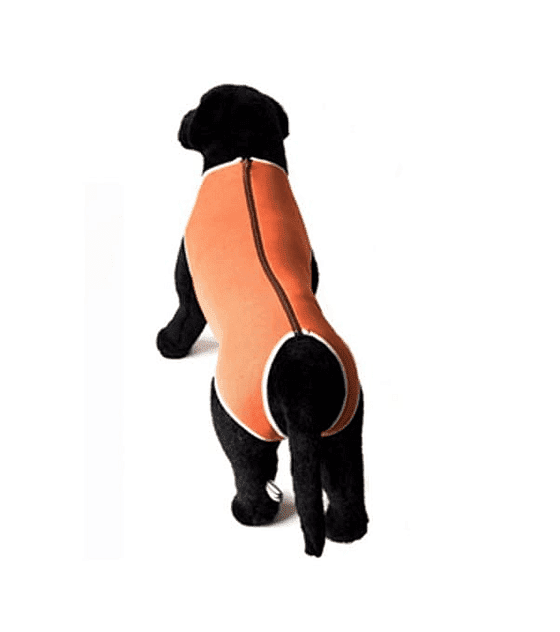 Body de Cobre Tradicional (Hembras) - Imagen 4