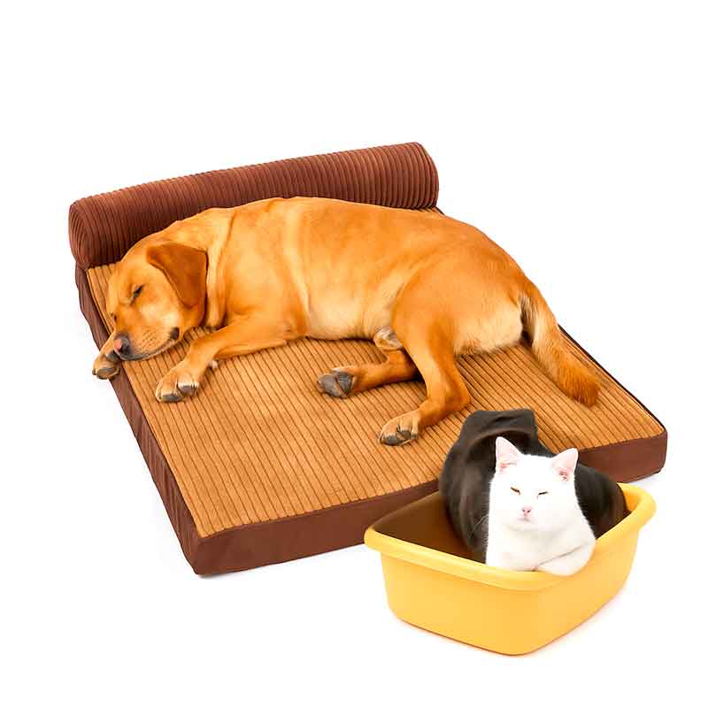 Cama Ortopédica Perro Grande Cotelon XL, muy eficaz en alineación de la columna - Imagen 8