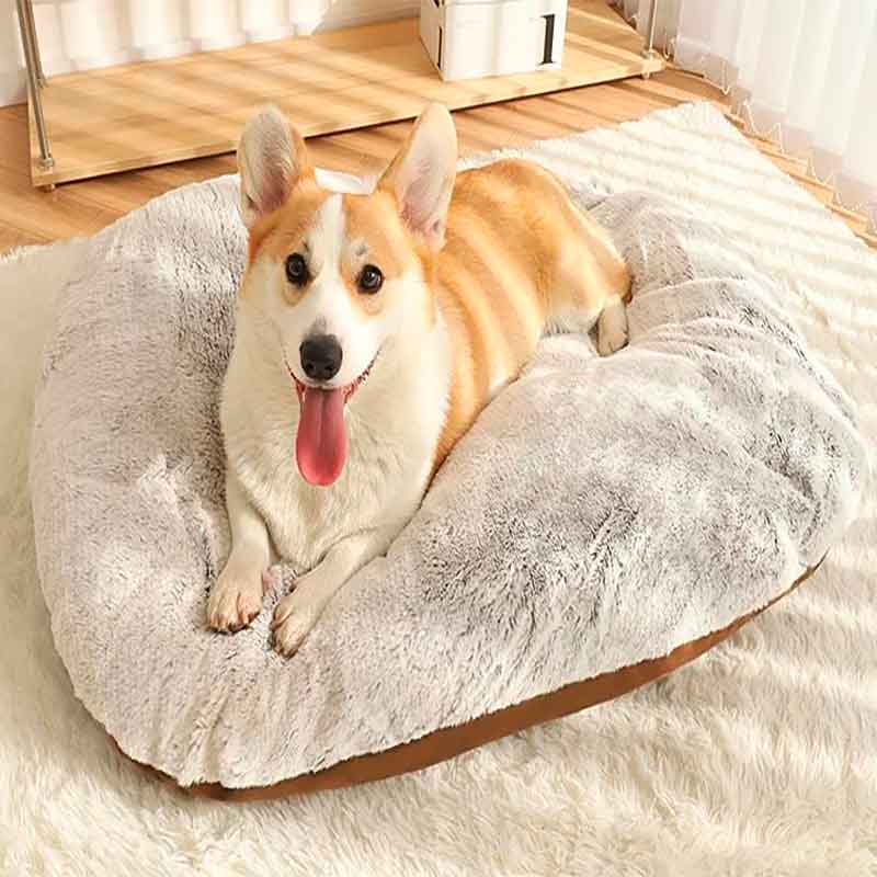 Cojín Perro Mediano 75cm de confort y economía