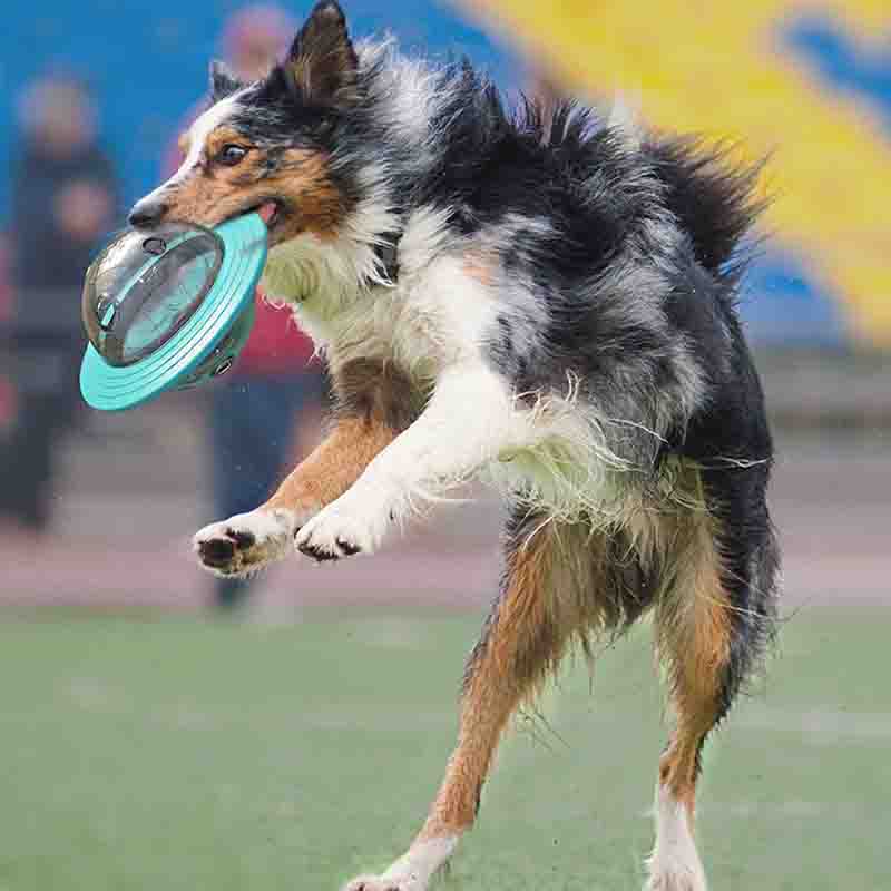 Dispensador Premios Perro Ovni - Imagen 3