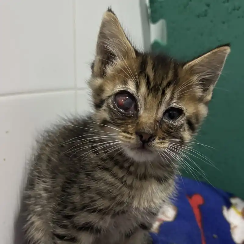 Dona 1 lata medicada a Luciano