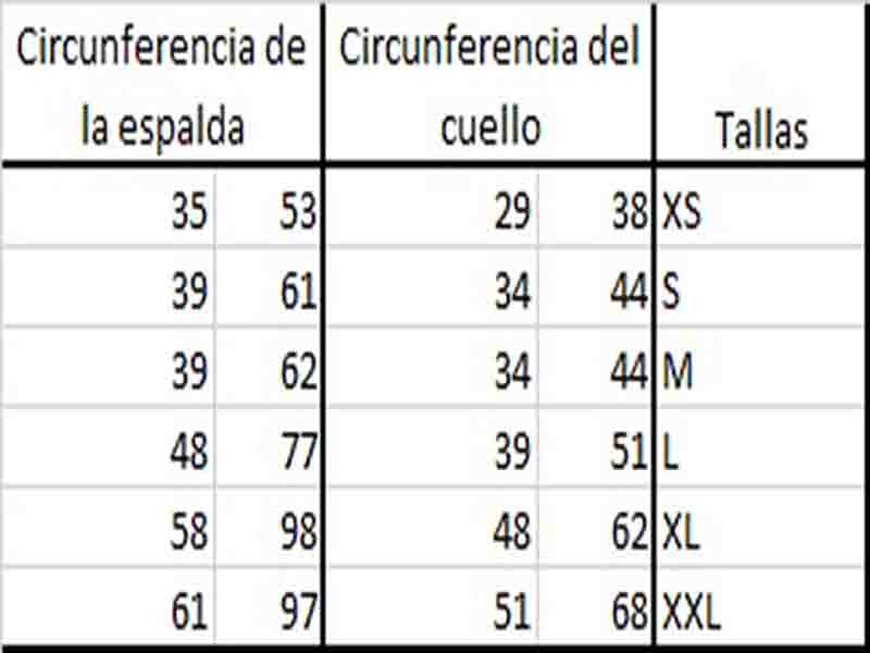 Arnes Asistencia Perro Service dog - Imagen 5