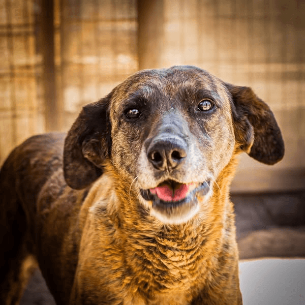 Dona 1 kilo para Megan