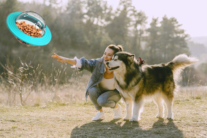 Dispensador Premios Perro Ovni - Imagen 7