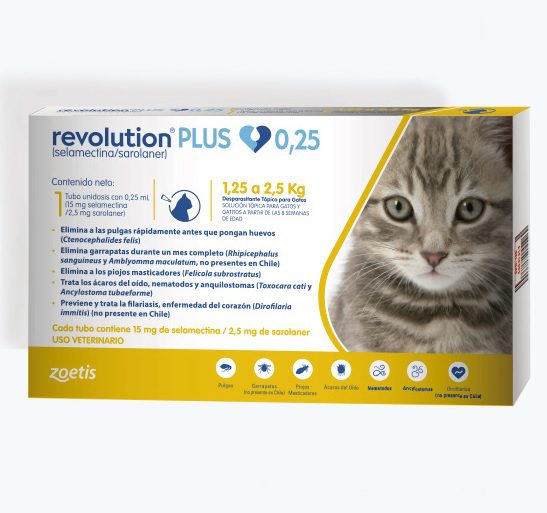 Revolution Plus gatos - Imagen 2