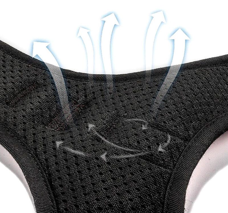 Arnes Asistencia Perro Service dog - Imagen 4