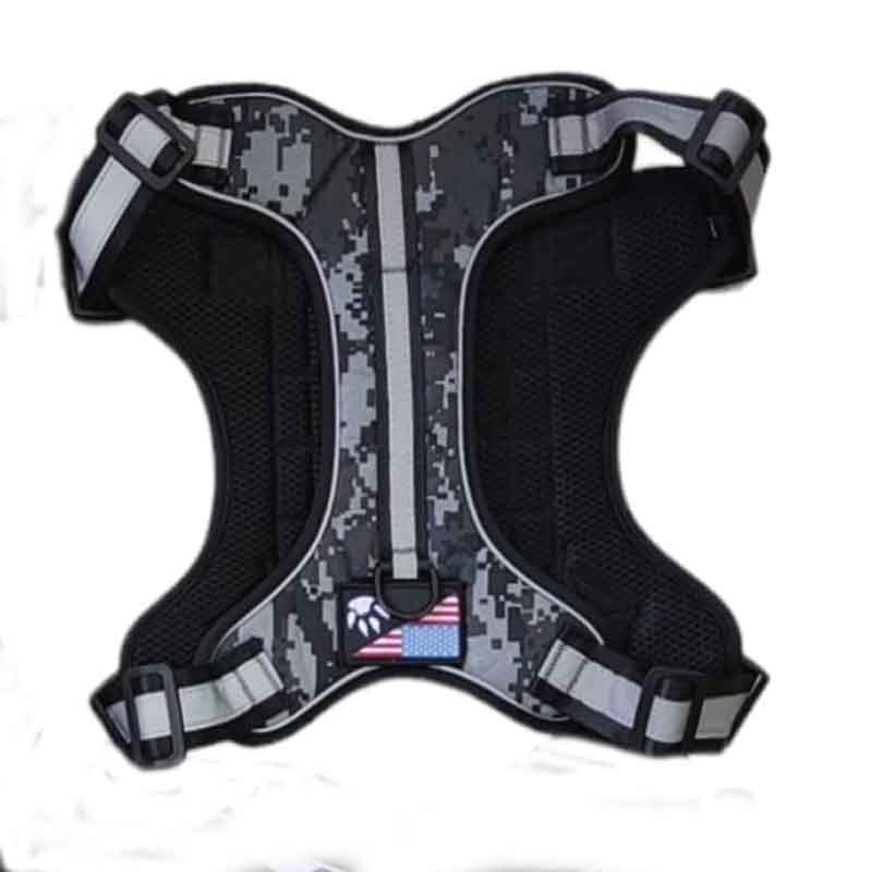 Arnes Asistencia Perro Service dog - Imagen 3