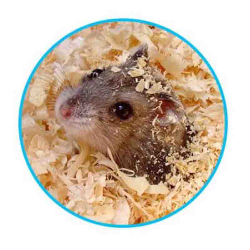 Viruta Sanitaria 1 KG - Imagen 2